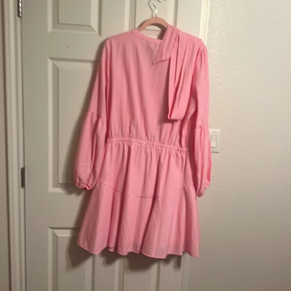 Pink Dress - Picture 4 of 6